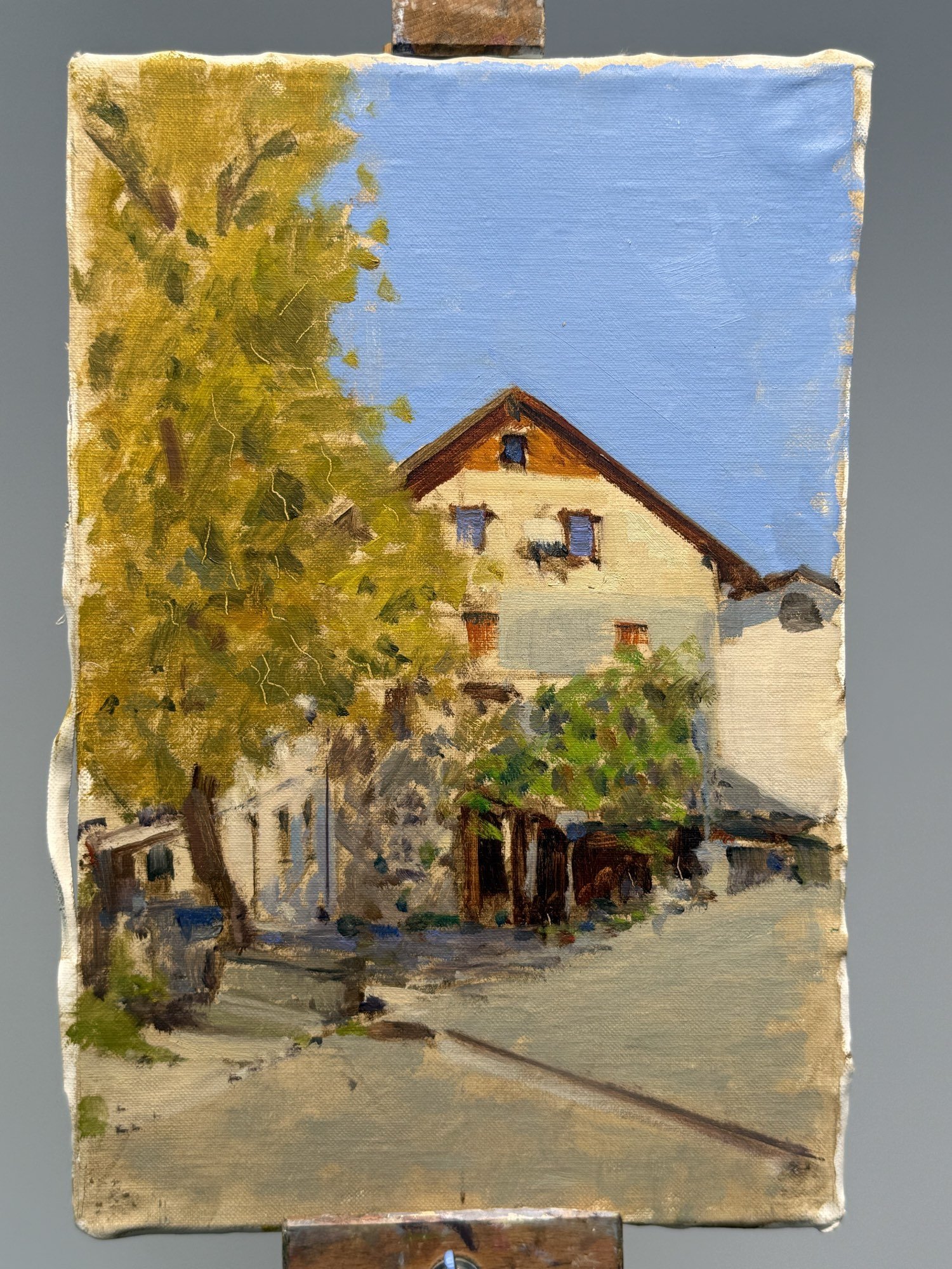 Alpine Tolmin