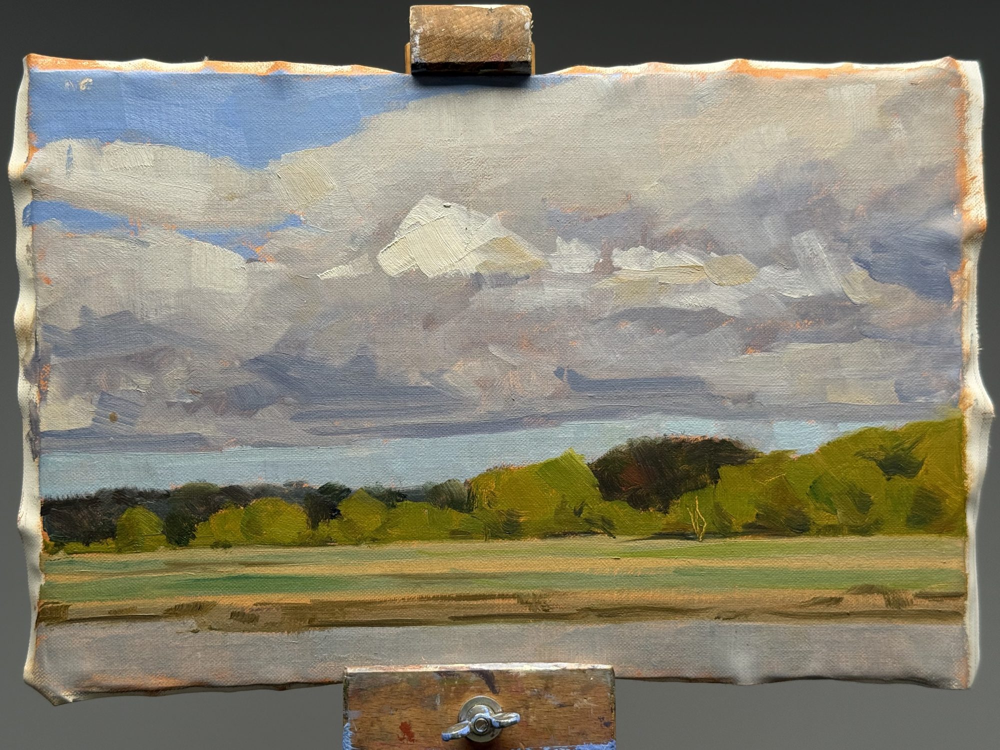 Rowhedge Treeline — original oil on board painting of Essex, United Kingdom by Claud Binns